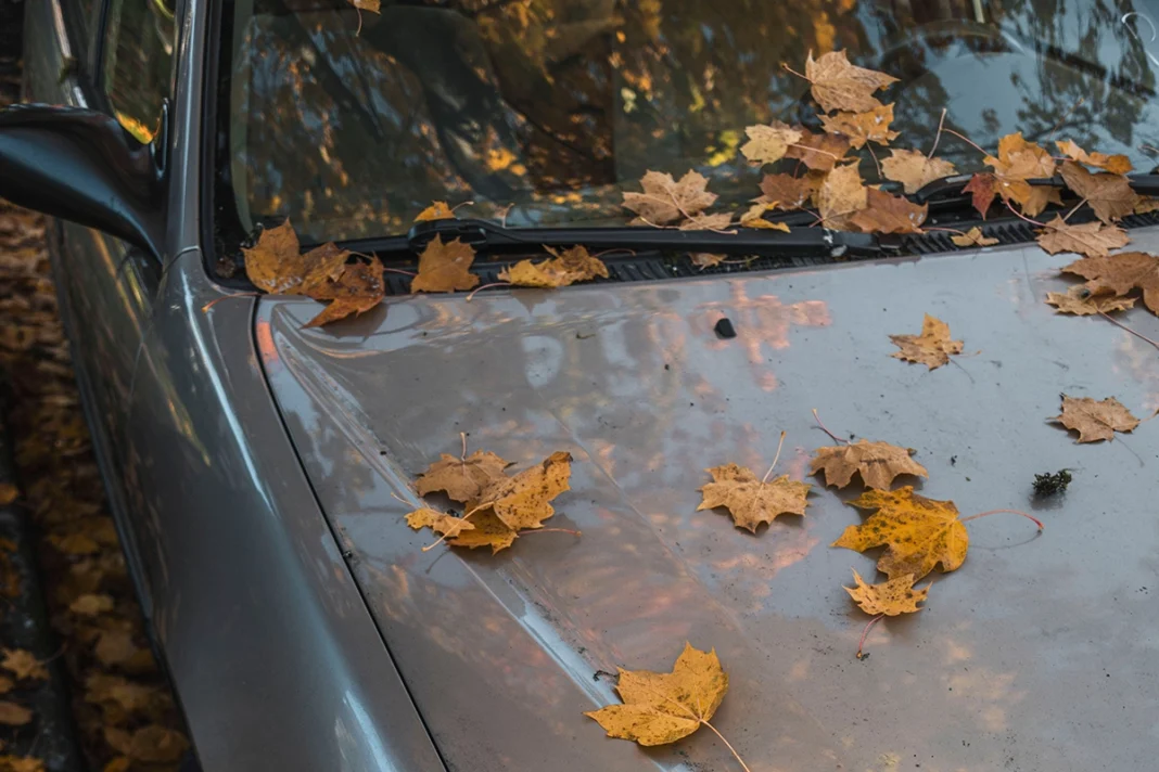 Može skupo da košta: Šta se dešava sa automobilom kad se ne vozi?